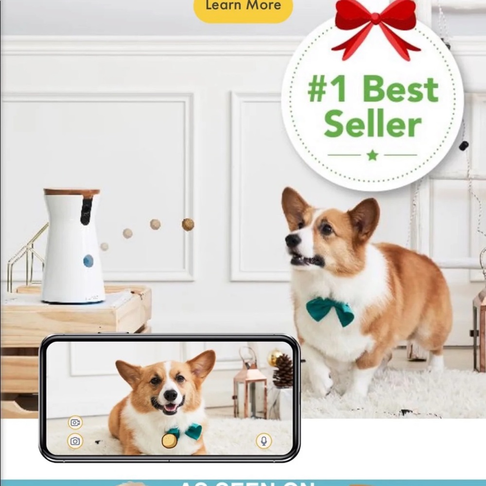 Dog camera - Picture 4 of 7